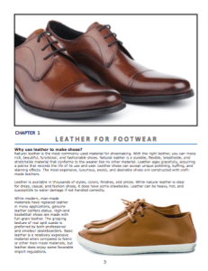 Chapter 1: Leather for footwear